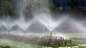 Irrigation sprinklers watering a bed of flowers